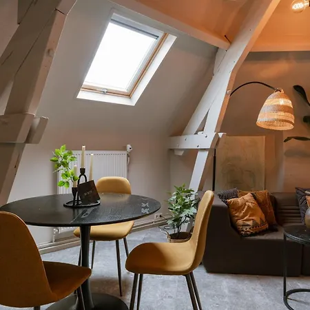 Huswell - Rooftop In Center, Pets Are Welcome Apartment